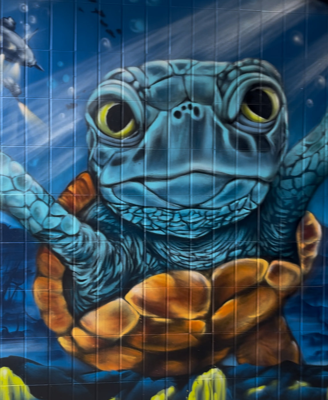Schildkröte unter Wasser