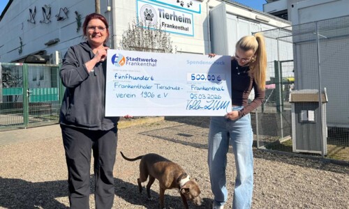 Süßer Einsatz für den Tierschutz